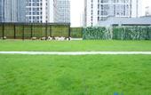 Туры в отель Wyndham Guangzhou Baiyun Mountain