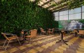 Туры в отель Dolphin Park Guest house