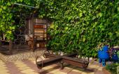 Туры в отель Dolphin Park Guest house