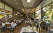Туры в отель PrimaSol Hane Garden