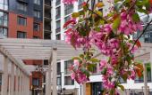 Туры в отель Iris by Pavlov Apartments