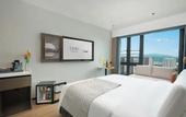 Туры в отель ECHIC Mercure (Guangzhou Baoneng Performing Arts Center Luogang Wanda Plaza)