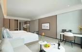 Туры в отель ECHIC Mercure (Guangzhou Baoneng Performing Arts Center Luogang Wanda Plaza)