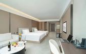 Туры в отель ECHIC Mercure (Guangzhou Baoneng Performing Arts Center Luogang Wanda Plaza)