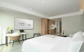 Туры в отель ECHIC Mercure (Guangzhou Baoneng Performing Arts Center Luogang Wanda Plaza)