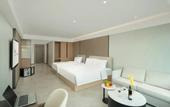 Туры в отель ECHIC Mercure (Guangzhou Baoneng Performing Arts Center Luogang Wanda Plaza)