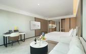 Туры в отель ECHIC Mercure (Guangzhou Baoneng Performing Arts Center Luogang Wanda Plaza)