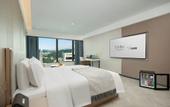 Туры в отель ECHIC Mercure (Guangzhou Baoneng Performing Arts Center Luogang Wanda Plaza)