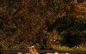 Туры в отель Yediburunlar Lighthouse Boutique & Restaurant Hotel