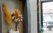 Туры в отель Grase Hotel