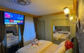 Туры в отель Gur Royal Suit Apartments