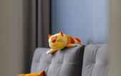 Туры в отель Crystal Corner Apartments