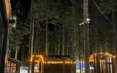 Туры в отель Dombay Paradise Guest House