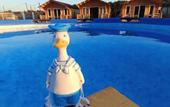 Туры в отель Recreation camp Domik V Derevne