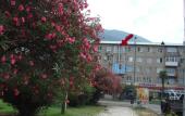 Туры в отель Apartments on Abazgaa street 49/1