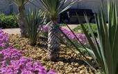 Туры в отель Rompol Guest house