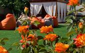 Туры в отель Rompol Guest house
