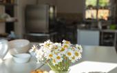 Туры в отель Chamich Guesthouse