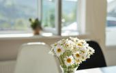 Туры в отель Chamich Guesthouse