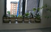 Туры в отель Gorod N Hostel