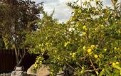 Туры в отель Guest house Mayak Village
