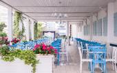 Туры в отель Euphoria Comfort Beach Alanya