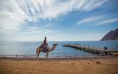 Туры в отель Happy Life Village