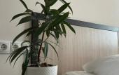 Туры в отель Mys Morya hotel