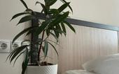 Туры в отель Mys Morya hotel