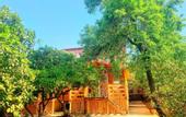 Туры в отель U Valentiny Guest house