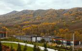 Туры в отель Hotel Sredigor