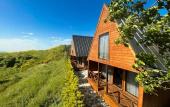 Туры в отель Navy Inn & Bungalows Hotel