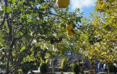 Туры в отель Navy Inn & Bungalows Hotel