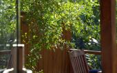 Туры в отель Navy Inn & Bungalows Hotel