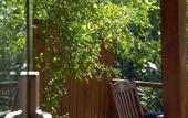 Туры в отель Navy Inn & Bungalows Hotel
