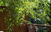 Туры в отель Navy Inn & Bungalows Hotel