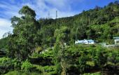 Туры в отель Summer Glow Guest - Nuwara Eliya