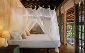 Туры в отель Sama Retreats - Kosgoda