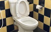 Туры в отель Ramlyn Guesthouse & Restaurant