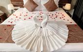 Туры в отель selene city hotel