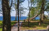 Туры в отель Elybay Apartment Hotel