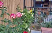 Туры в отель Modern Guest House