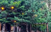 Туры в отель Turbaza Legenda Gor Recreation camp