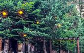 Туры в отель Turbaza Legenda Gor Recreation camp