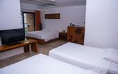 Туры в отель Mangrove Tree Resort World Sanya Bay