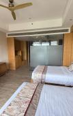 Туры в отель Mangrove Tree Resort World Sanya Bay