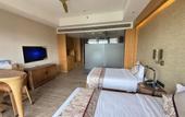 Туры в отель Mangrove Tree Resort World Sanya Bay