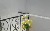 Туры в отель Iason Hotel