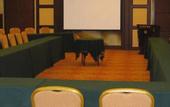 Туры в отель New Paris Hotel Harbin