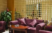 Туры в отель New Paris Hotel Harbin